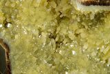 Calcite Crystal Filled Septarian Geode Egg - Utah #176038-3
